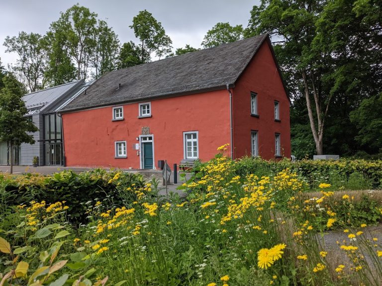 Rotes Haus, im Vordergund bölühender Pippau