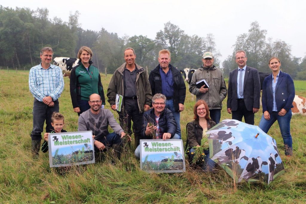 Wiesenmeisterschaft (Foto: Friederike Klein)