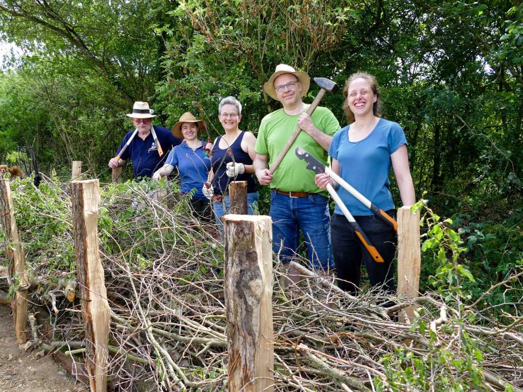 Bau einer Totholzhecke (Foto: Carola Hoppen)
