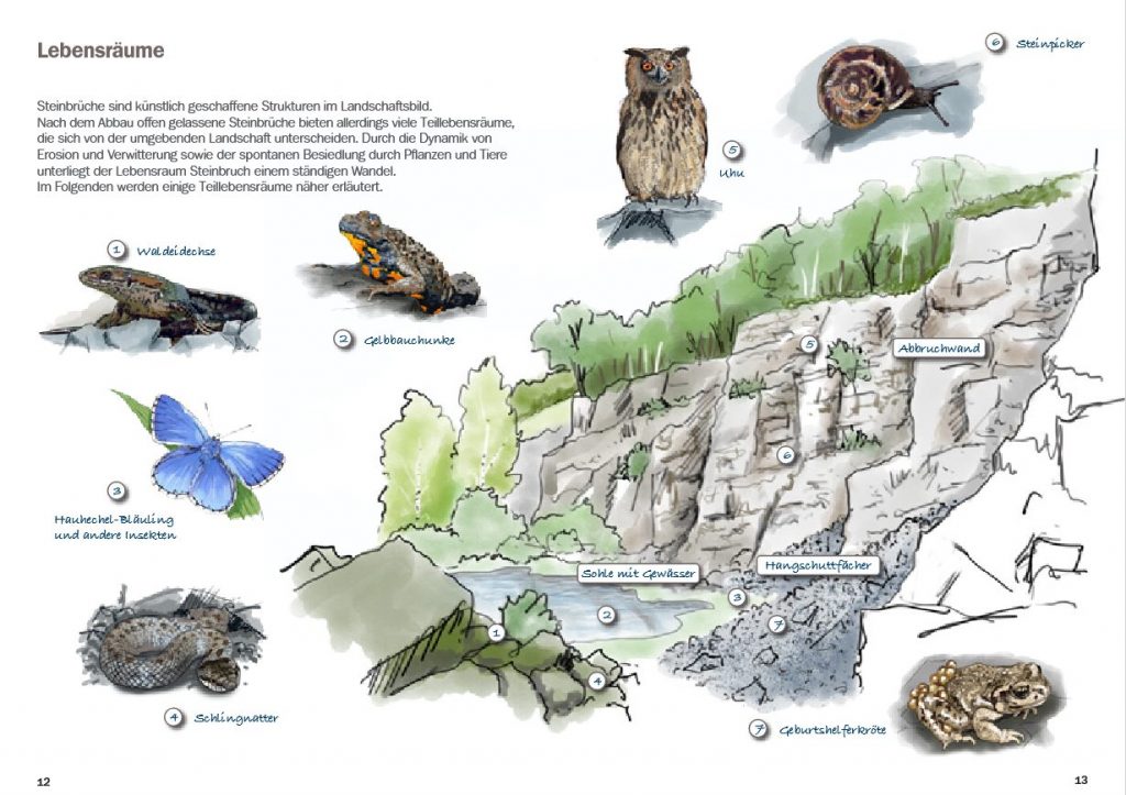 Broschüre STEINland