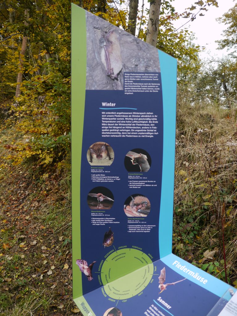 WupperVielfalt Erlebnisstation Fledermaus