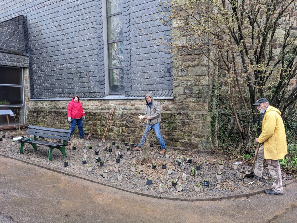 BiCK Staudenpflazung