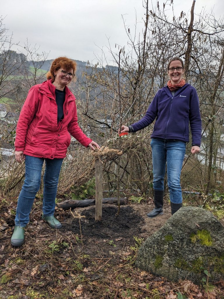 BiCK Pflanzung Obstbaum