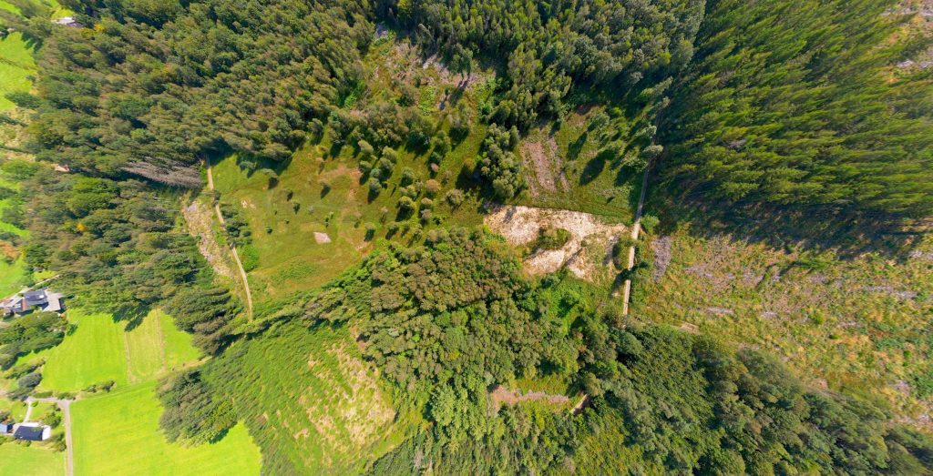 Blick auf das Hangquellmoor Neuenhähnen in Waldbröl (Copyrigth by Alfons Heitmann, Bergneustadt)