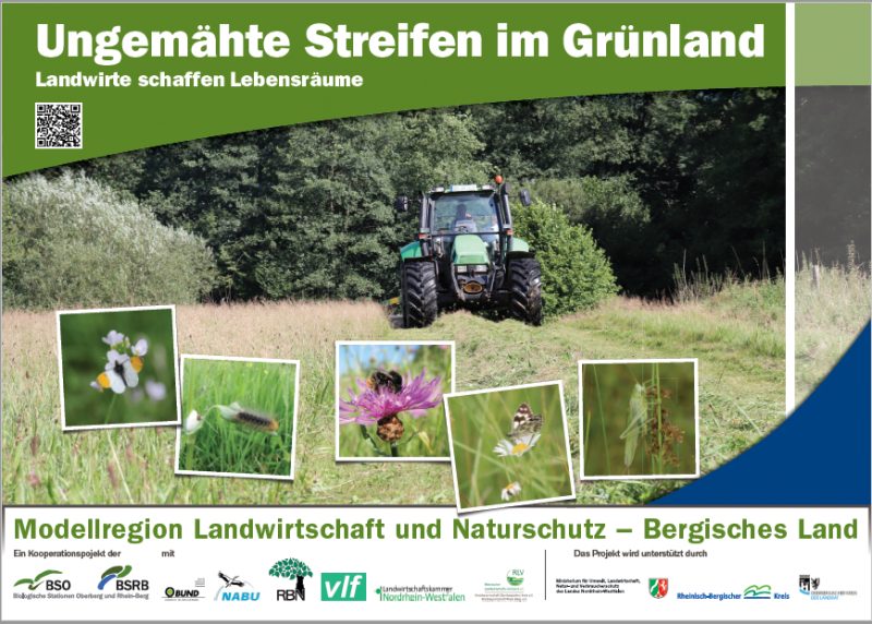 Plakat ungemähte Streifen