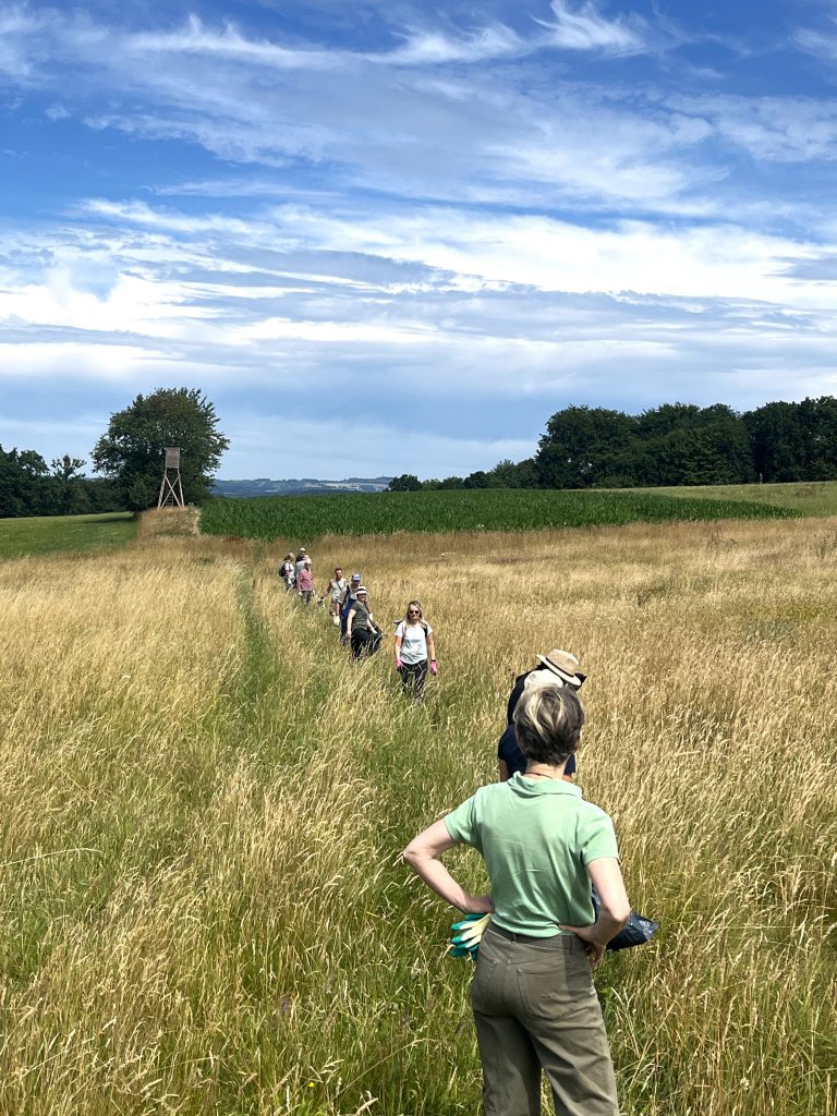 Ehrenamtsprojekt: JKK sammeln
