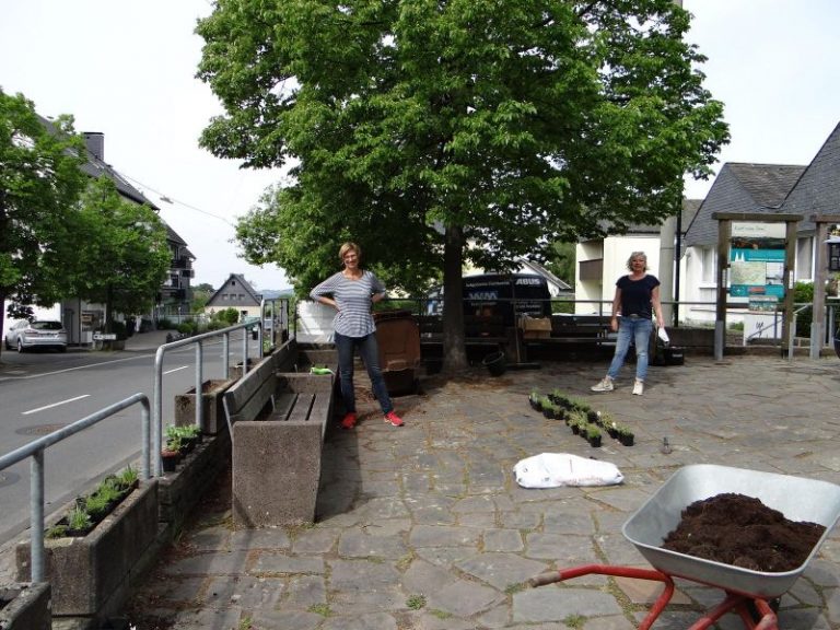 Pflanzaktion Marialinden