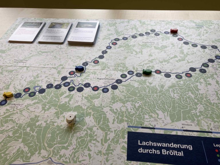 Brettspiel "Lachswanderung"