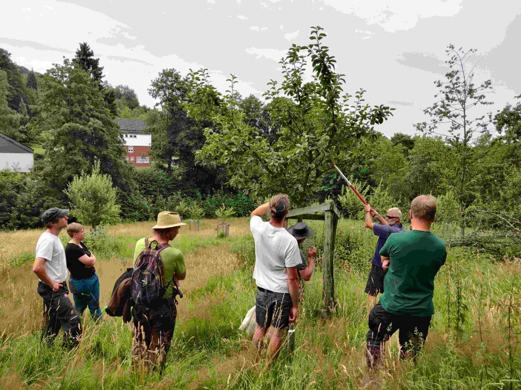 Apfelbaumschnittkurs