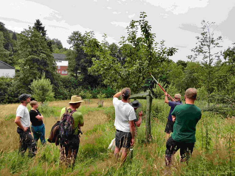 Apfelbaumschnittkurs