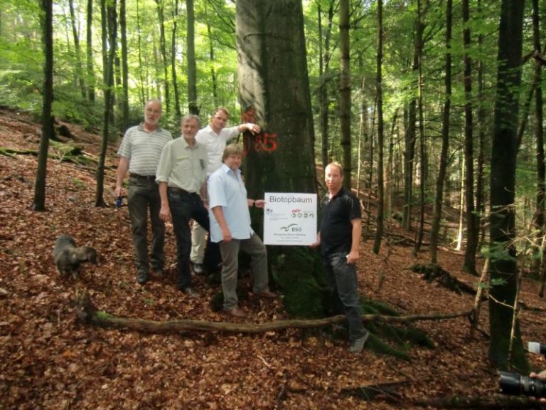 Projekt "Tote Bäume für das Leben"