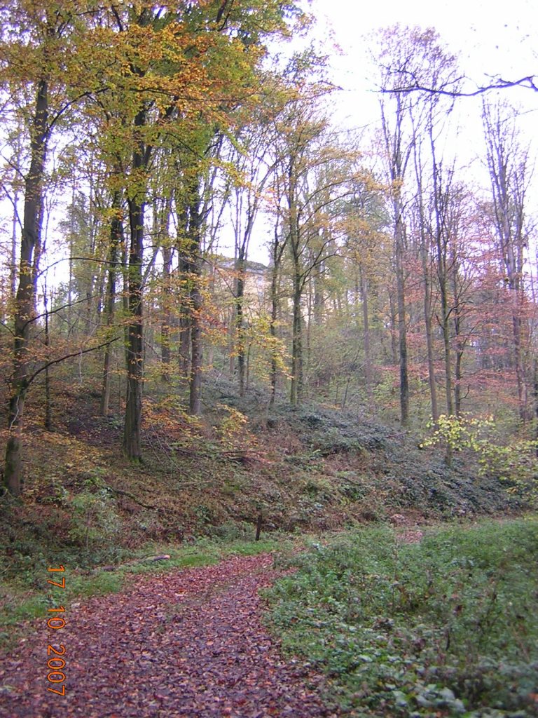 Waldweg