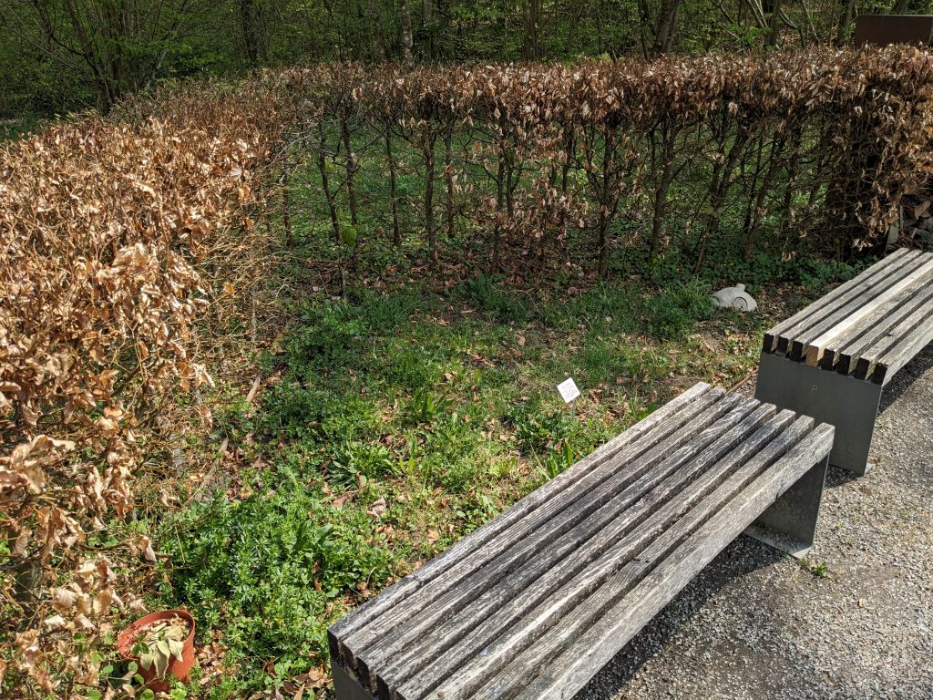 Klassenzimmer Blütenmee(h)r im Frühjahr