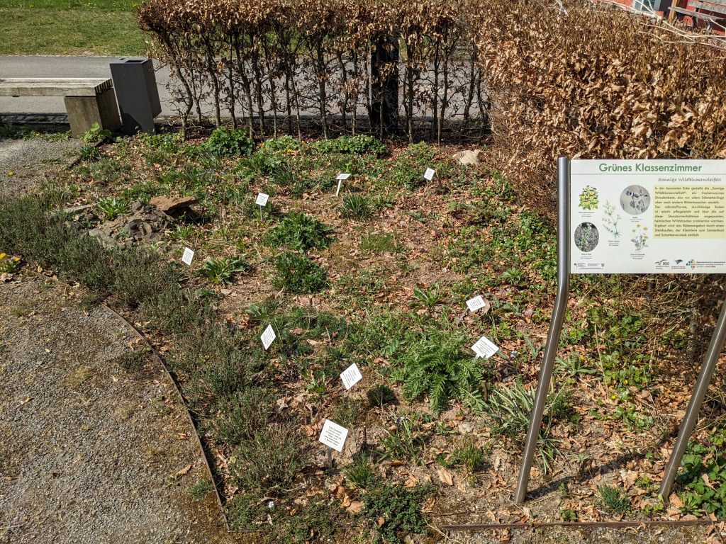 Klassenzimmer Staudenbeete im Frühjahr