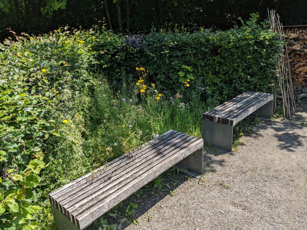 Blütenmee(h)r im Frühsommer