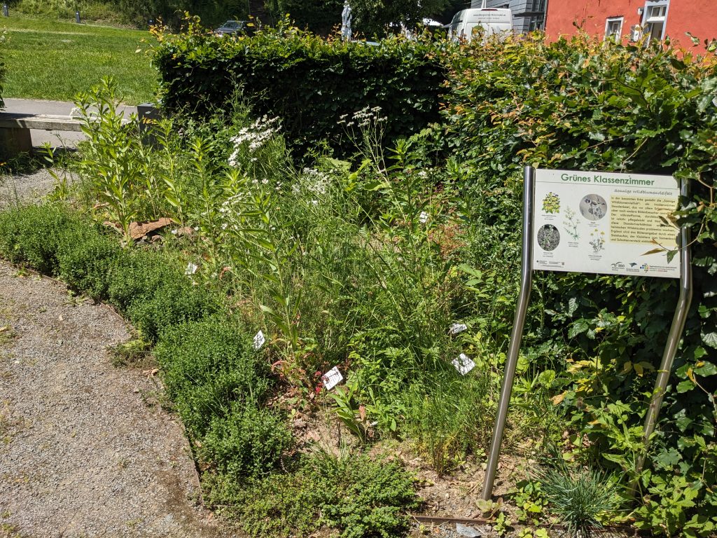 Wildstaudenbeet im Frühsommer