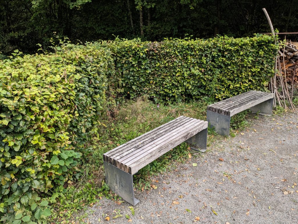 Blütenmee(h)r im Spätsommer