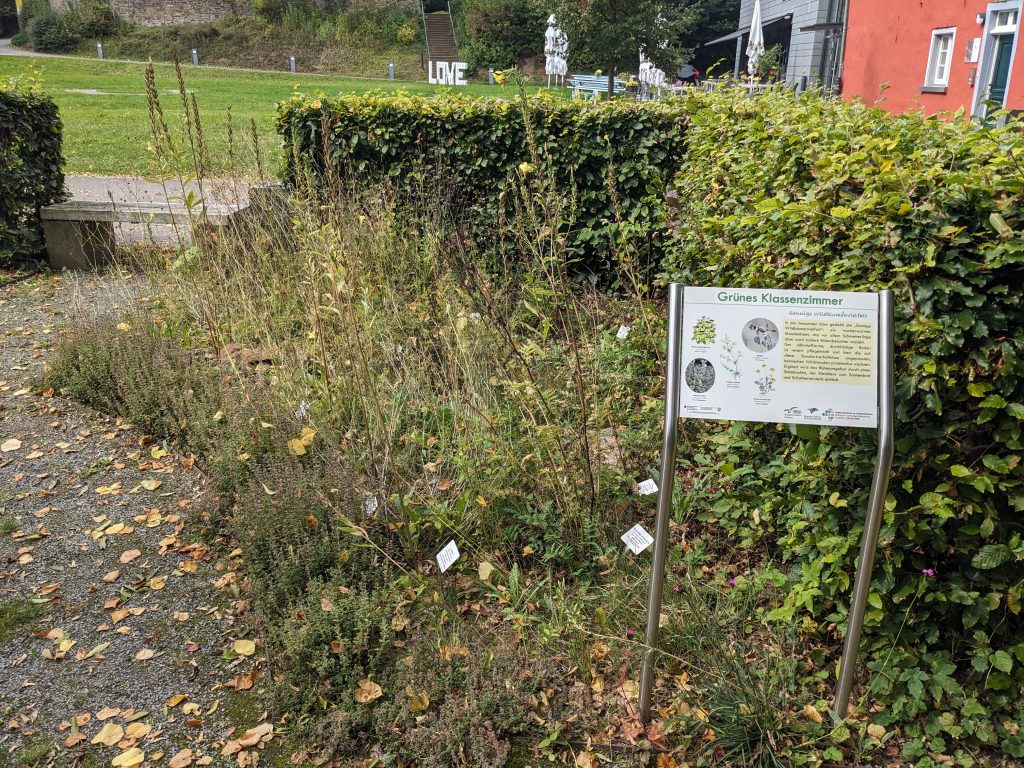 Wildstaudenbeet im Spätsommer