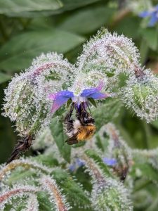 Detailaufnahme Grünes Klassenzimmer