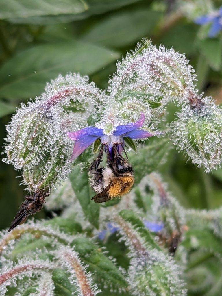 Detailaufnahme Grünes Klassenzimmer