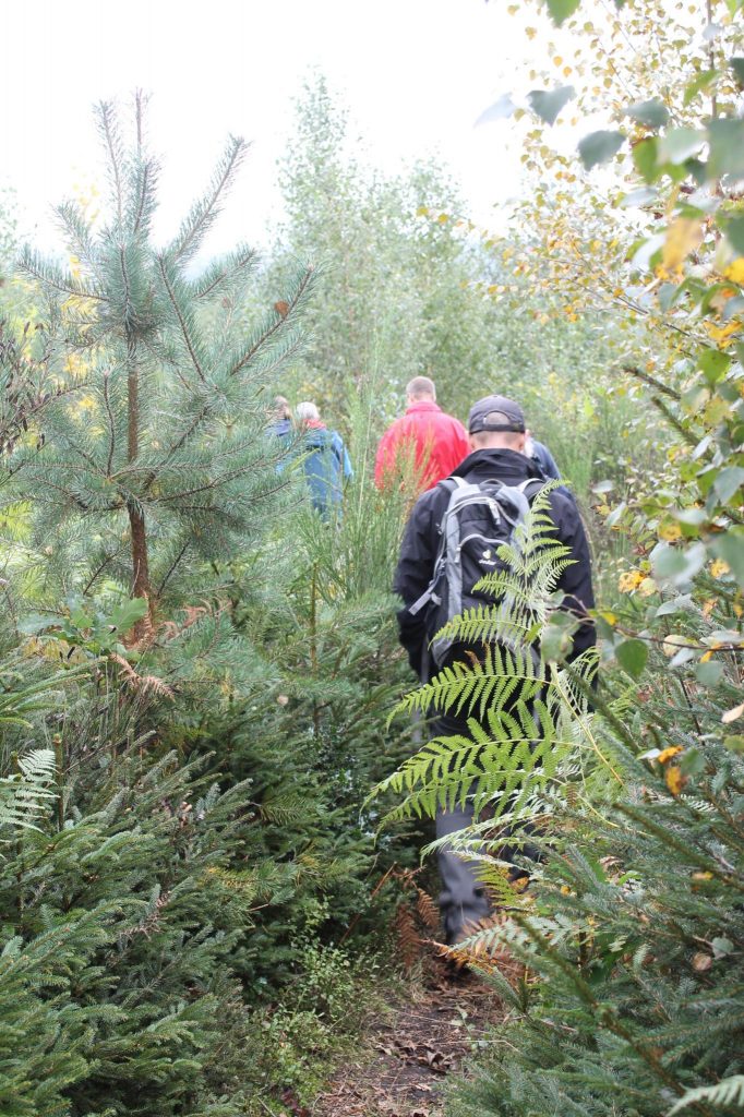 Oberbergischer Wald in der Klimakrise (Foto: Sebastian Schäfer)