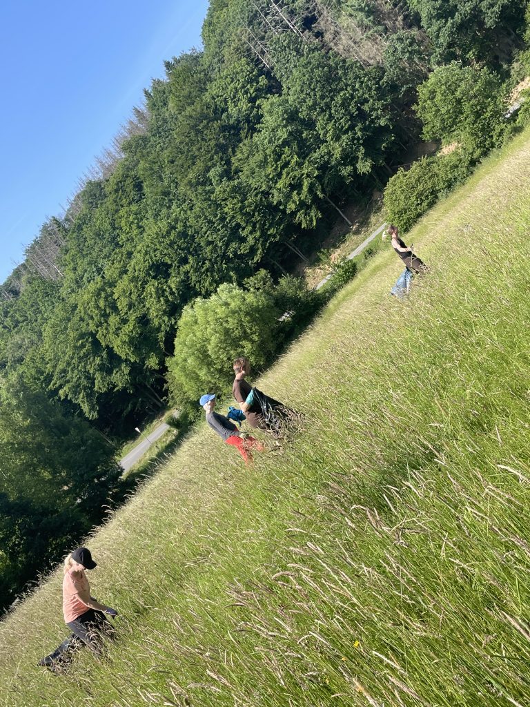 Heuwiese Geilenkausen