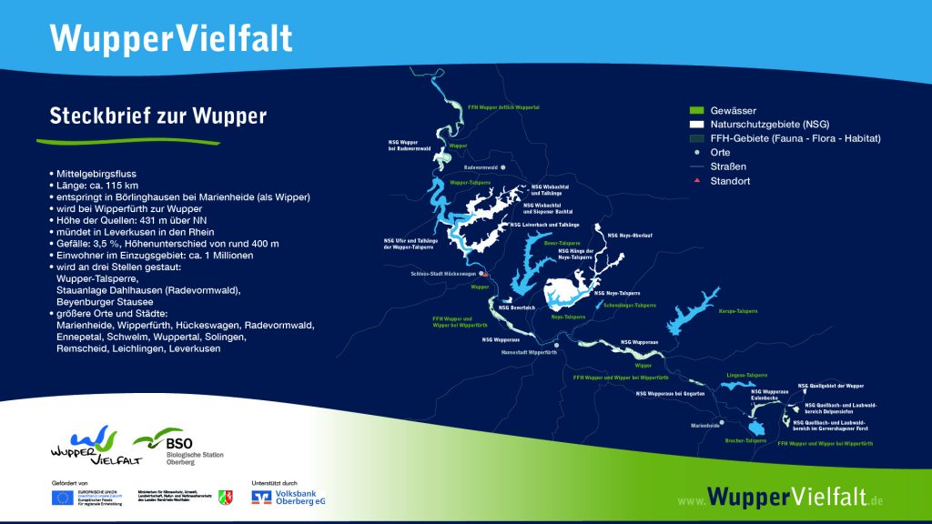 WupperViefalt Tafel Steckbrief Wupper