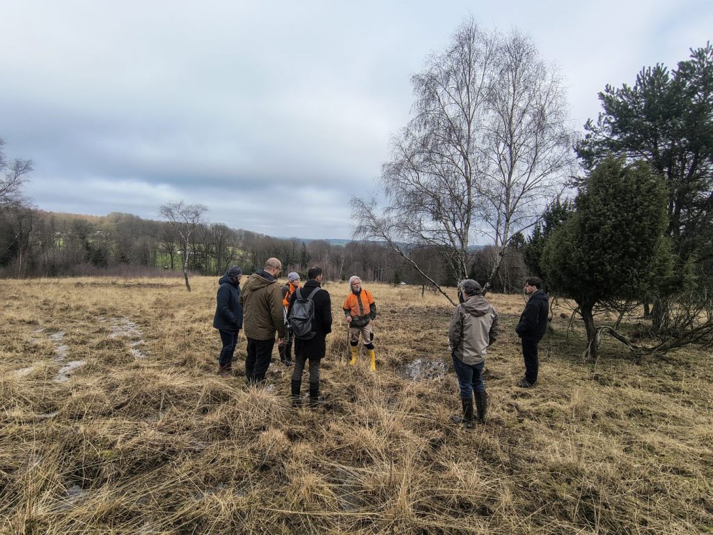 Fachberatung im Hangmoor