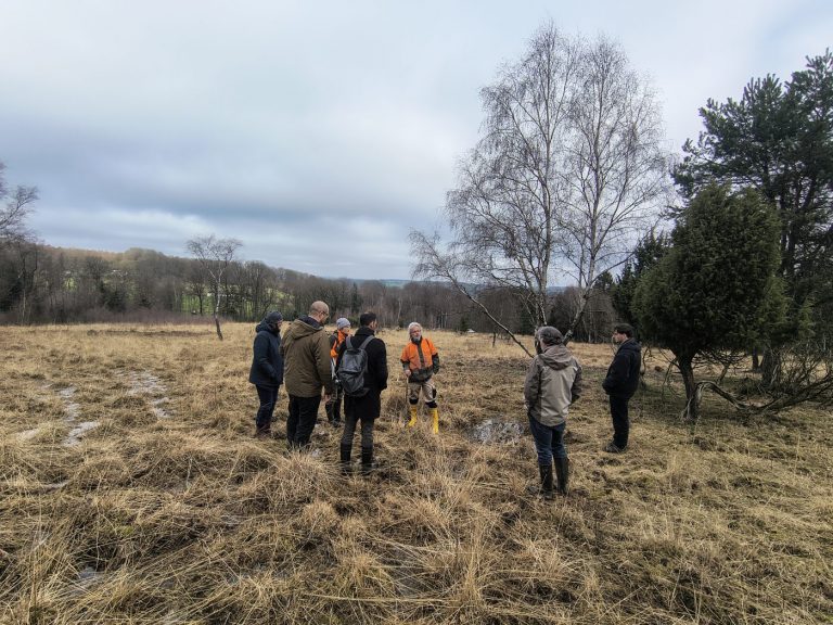 Fachberatung im Hangmoor