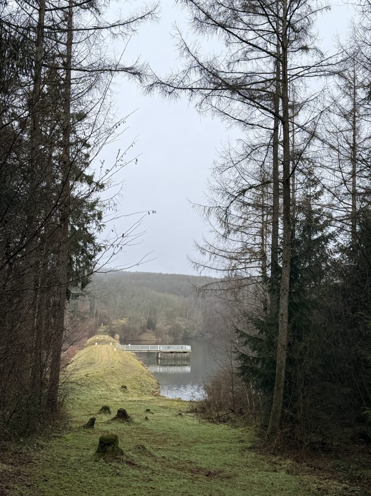 Damm am Vorbecken der Wiehltalsperre