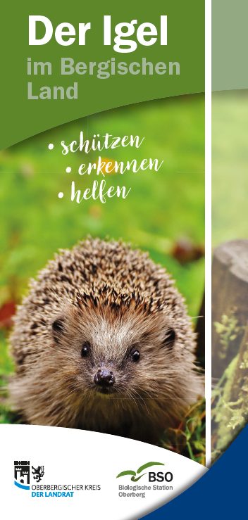Titelbild Igelflyer
