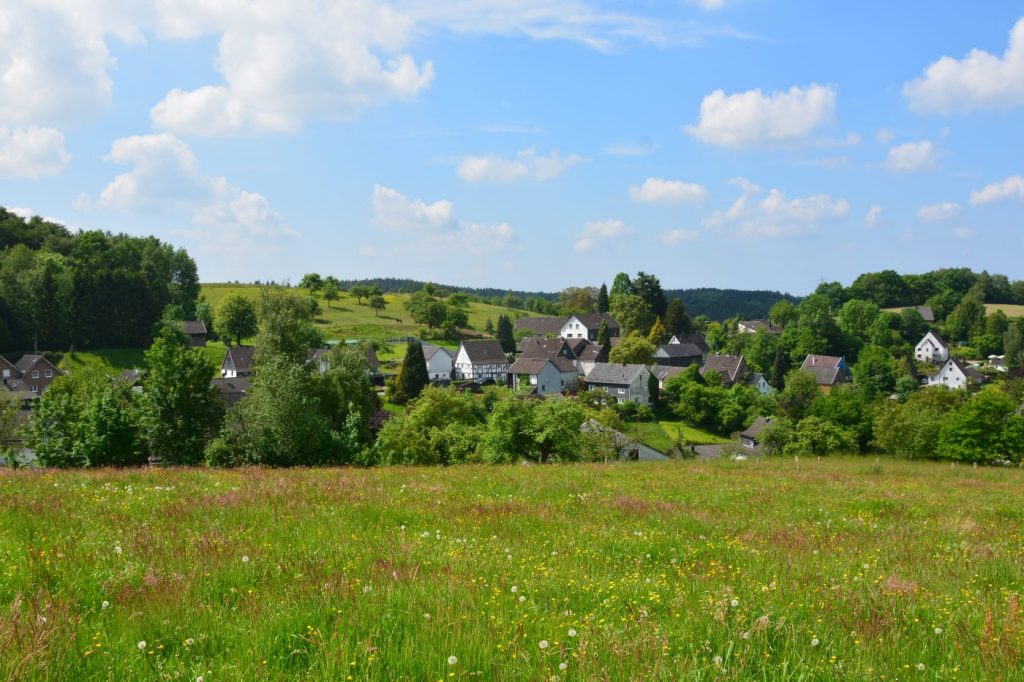Wiese im Oberbergischen